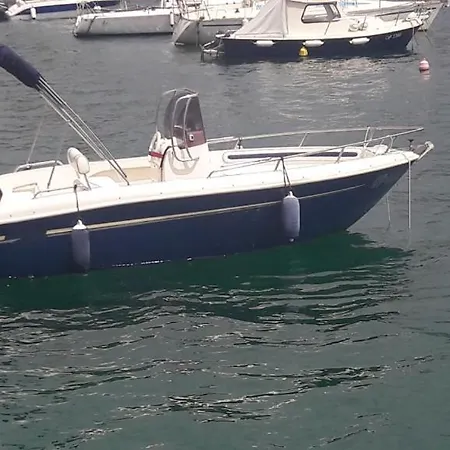 In With Sea View, Balcony, Air Conditioning, Wi-fi Opatija