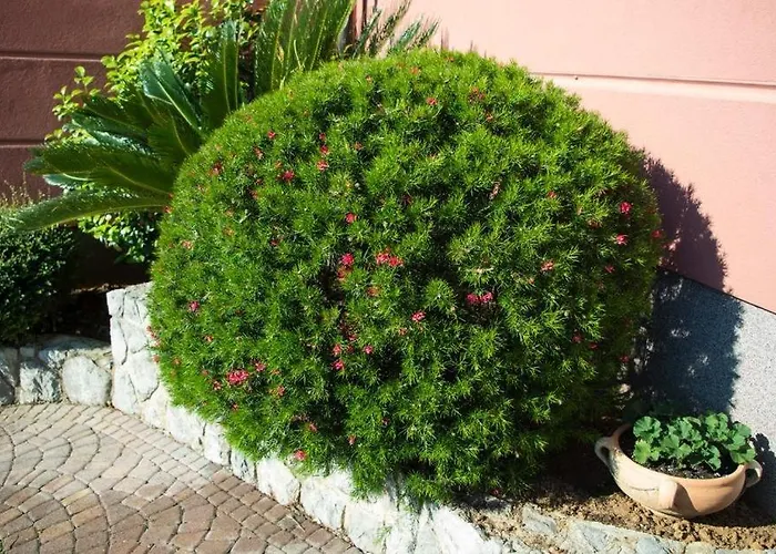 Apartment In With Sea View, Balcony, Air Conditioning, Wi-fi *